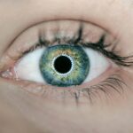 person showing green and black eyelid closeup photography